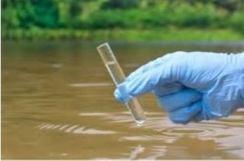 Colibacilo, bacteria coliforme